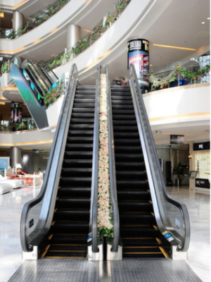 9000 osób / h Ruchome schody ruchome 1200 mm Step Indoor Outdoor