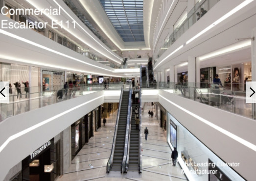 Centrum handlowe Ruchomy spacer Schody ruchome 35 stopni szkło hartowane Fuji